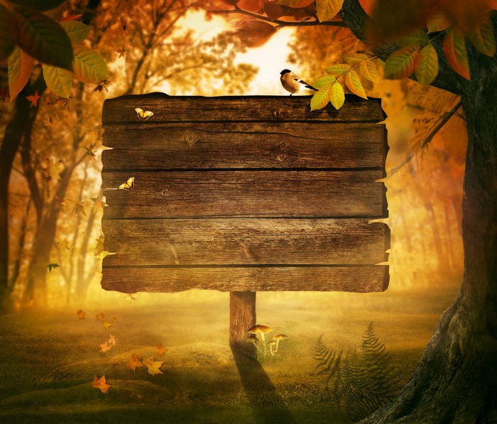 Autumn scene with wooden sign and bird