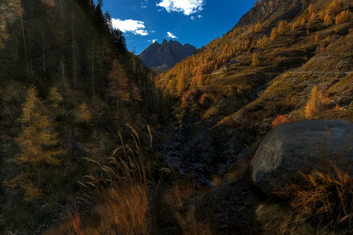 Autumnal mountain valley with pine forest and rocky slopes
