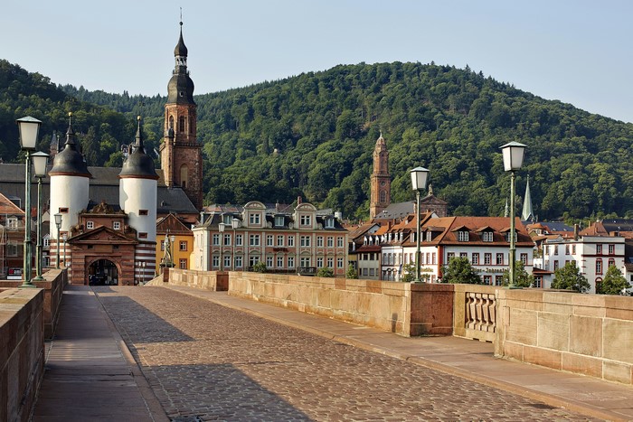 Heidelberg, Germany, Bridge with Old Town and Forest