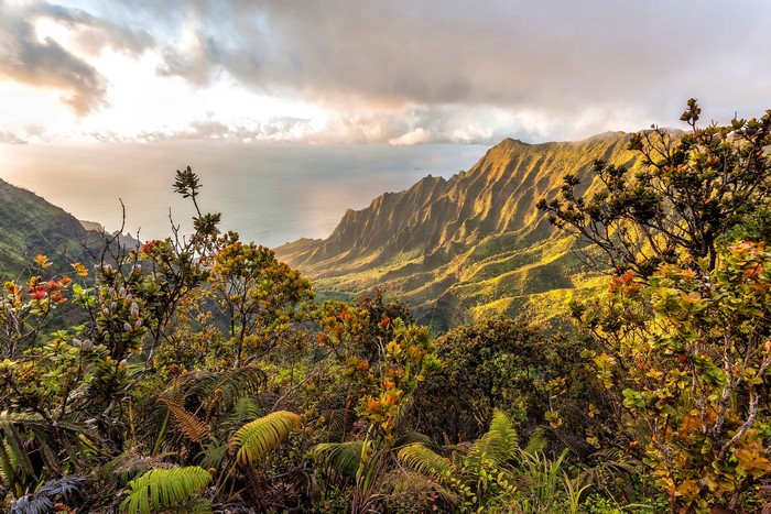Mountain range overlooking the ocean with tropical foliage