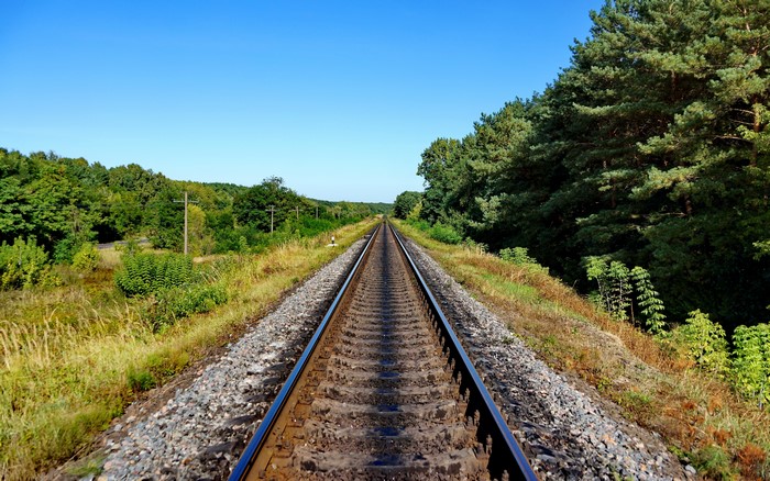 Railroad tracks through a forest