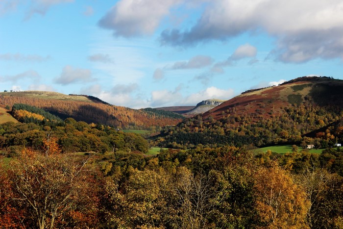 Autumnal valley in Llangollen, United Kingdom