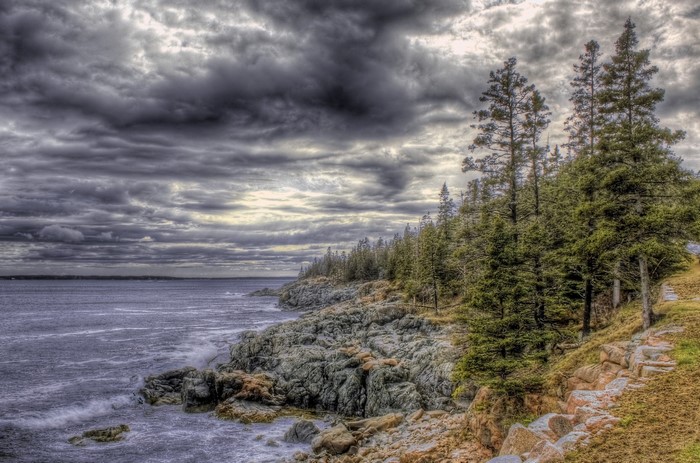 Rocky Coastline with Pine Trees and Stormy Sky