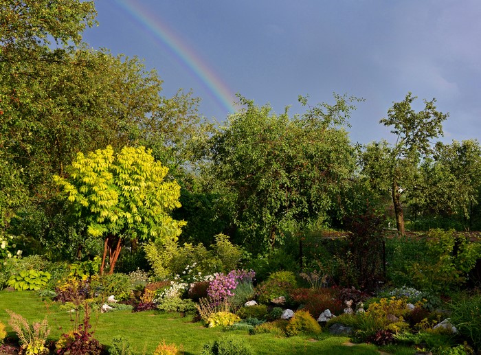 Garden with trees and a rainbow