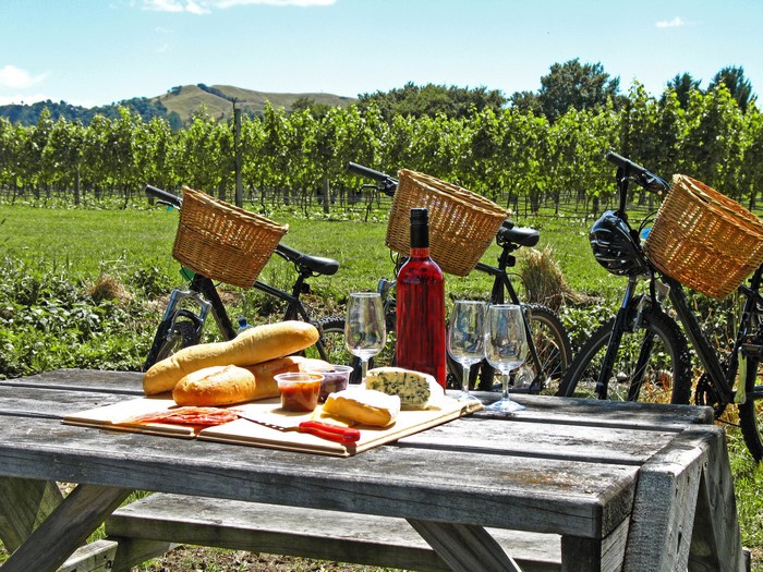 Picnic with wine and bicycles in a vineyard