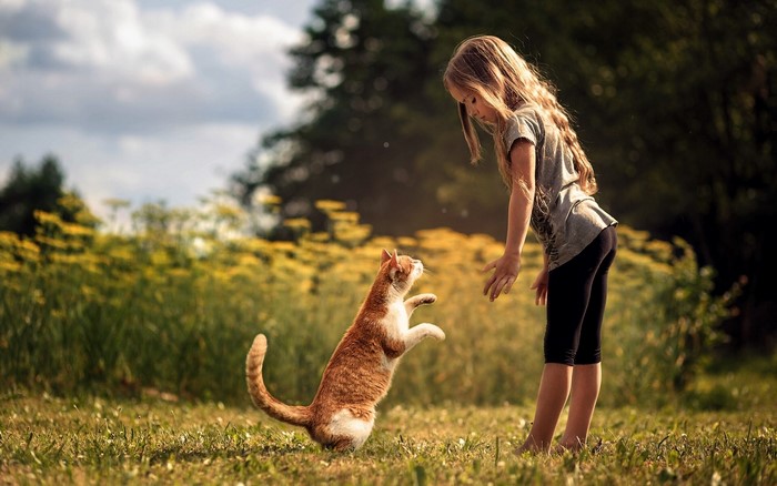 Girl playing with a cat in a field