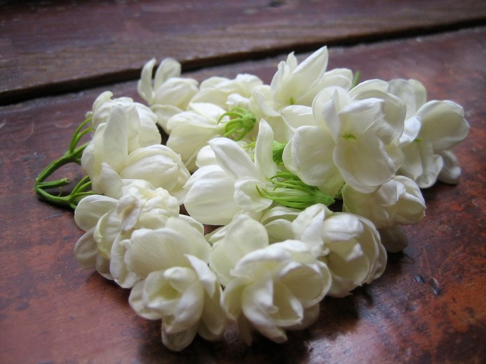 White Jasmine flowers on a wooden surface