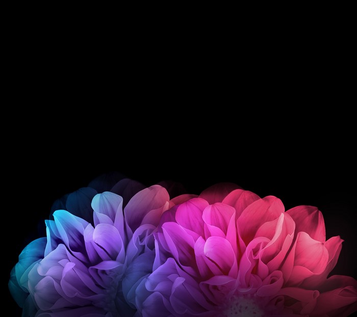 LG G Flex 2 flower petals