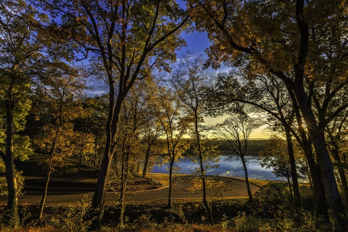 Autumn trees by a lake at sunset