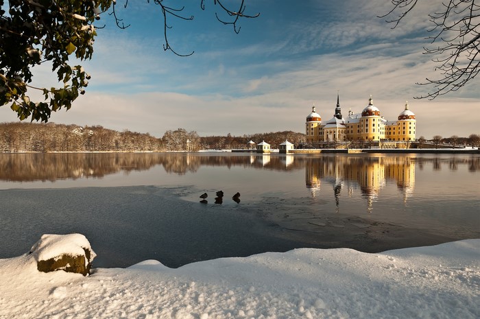 Moritzburg Castle reflected in a frozen lake in winter