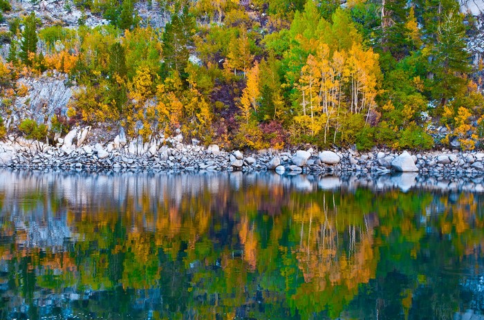 Autumn trees reflecting in a lake