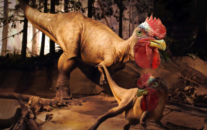 Dinosaurs with Rooster Heads in a Forest
