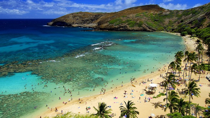 Hanauma Bay beach with coral reefs and palm trees