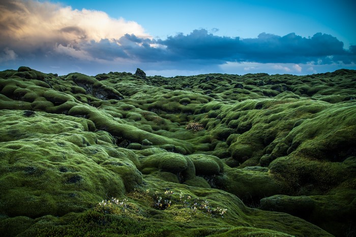Mossy Lava Field Under Cloudy Sky