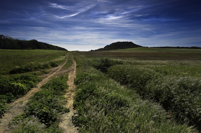 Dirt road through grassy fields under a blue sky