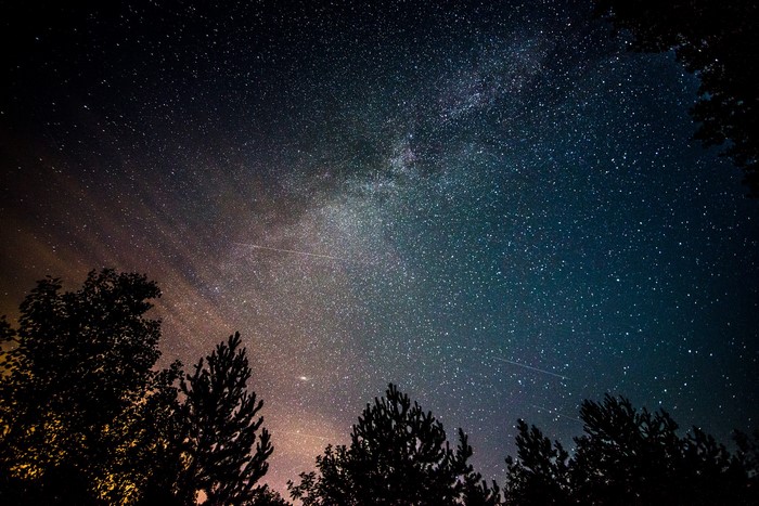 Milky Way and Stars over Trees at Night