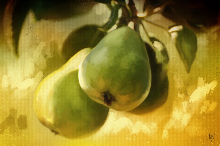4K Pears Pictorial Art Fruit