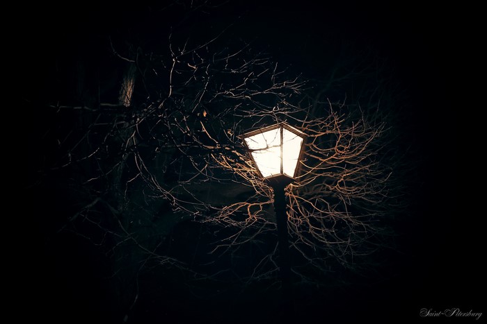 Street light at night in Saint Petersburg