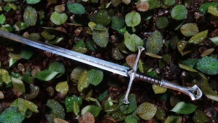 Sword lying on wet leaves and dirt