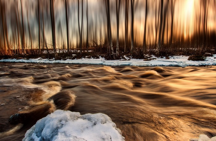 River flowing through a forest in winter