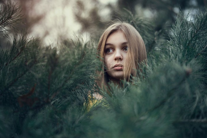 Young girl peeking through pine branches