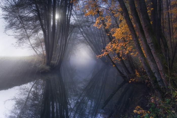 Autumn forest with a river and fog