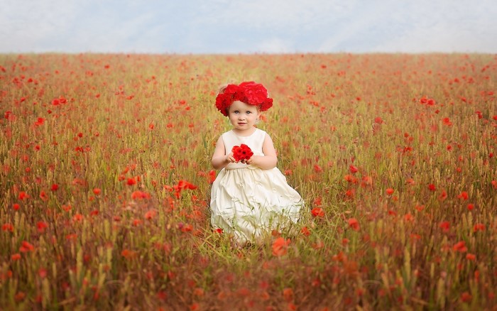 Little girl in a field of poppies