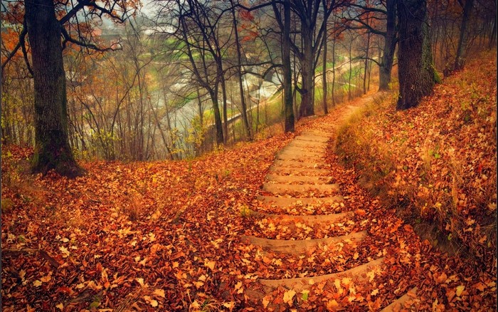 Autumn park with stairs covered in fallen leaves