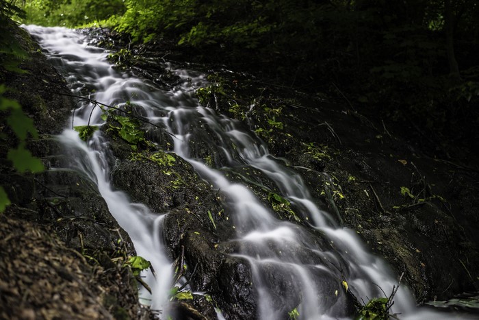 Water stream flowing over rocks in a forest