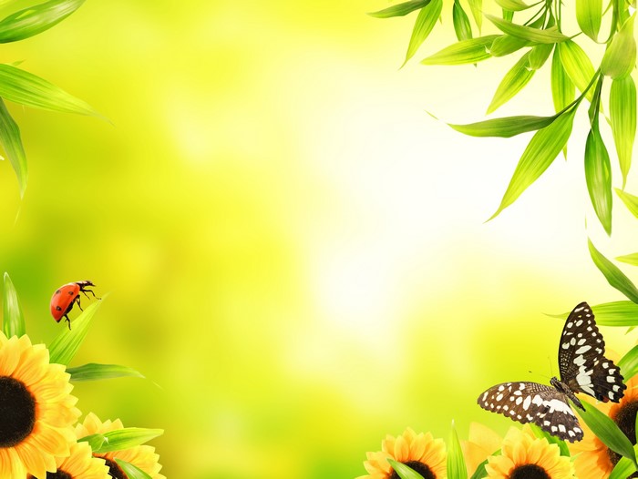Ladybugs and Butterflies with Sunflowers and Bamboo