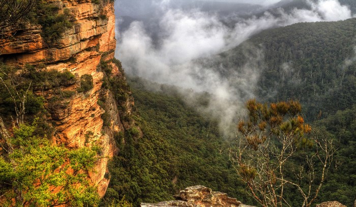 4K Blue Mountains National Park, Australia