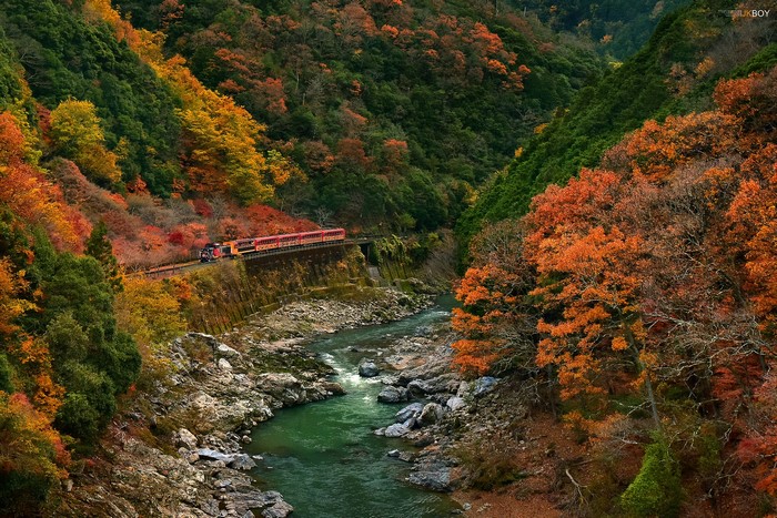 Train traveling through a mountain valley in autumn