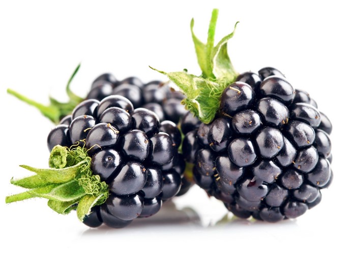 Two Blackberries with Green Stems