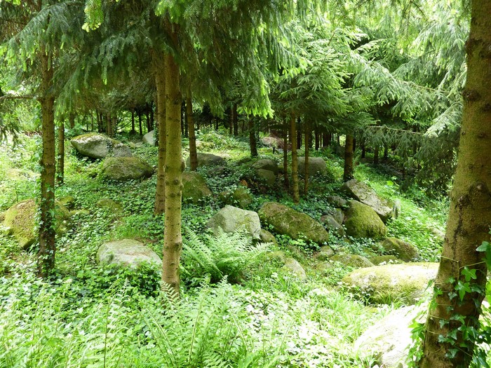 Albert-Kahn Japanese gardens, France