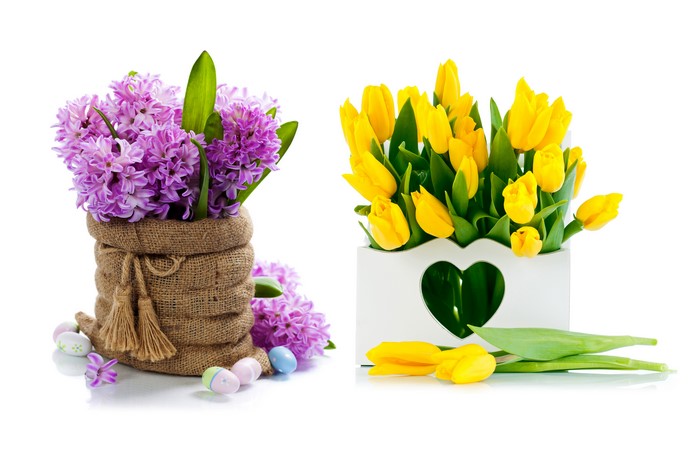 Hyacinths and Tulips with Easter Eggs