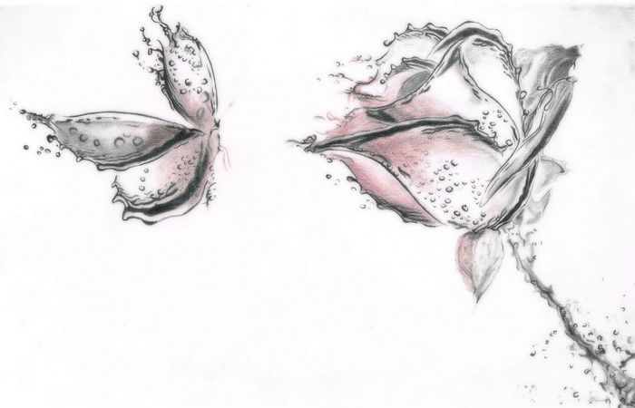 Butterfly and Rose made of water splashes