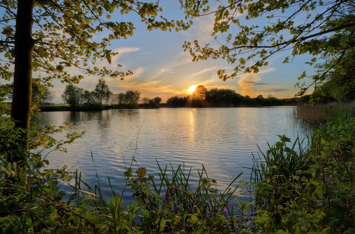 Sunset over a tranquil lake with trees and foliage