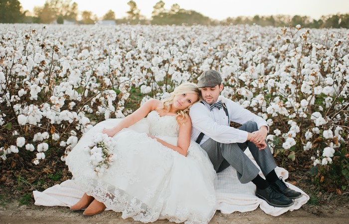 Bride and Groom sitting in a cotton field