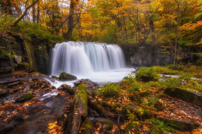 Waterfall in an Autumn Forest with Moss