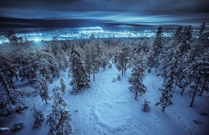 Snowy forest at night with distant city lights