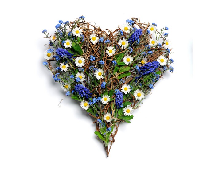 Heart shaped floral arrangement with daisies and blue flowers