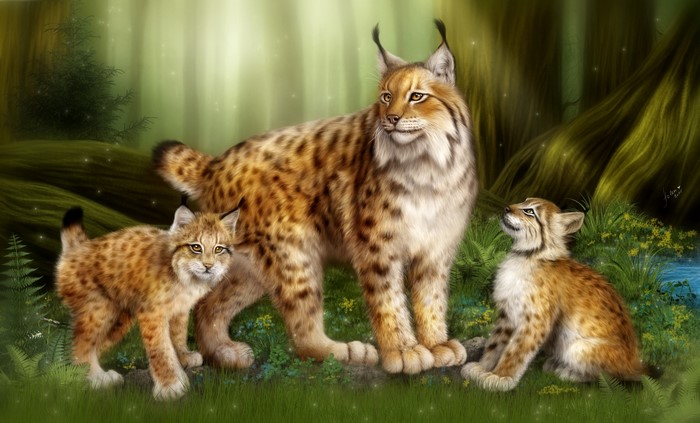 Lynx family in a forest setting