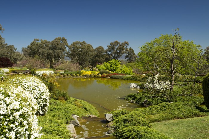 Cowra Japanese Garden pond with trees and shrubs