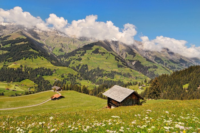 4K Berner Oberland Switzerland Mountains and Houses