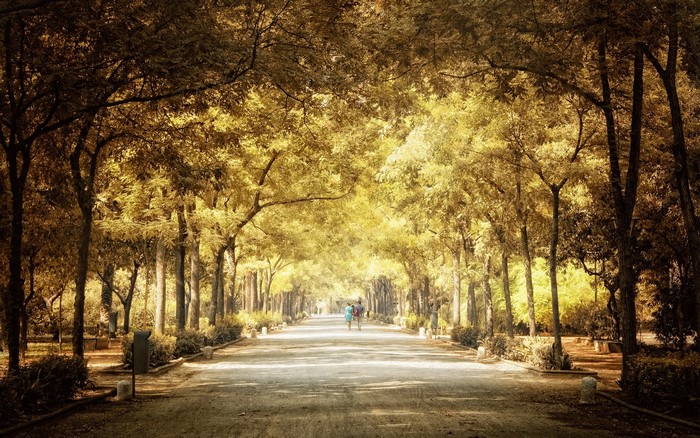 Autumn park avenue with two people walking