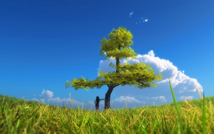 A lone figure leans against a tree in a grassy field under a blue sky.
