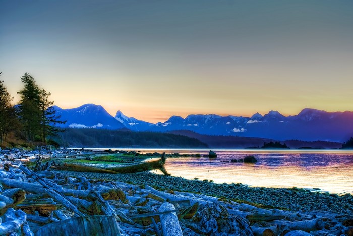 Driftwood beach at Mansons Landing Provincial Park, Canada