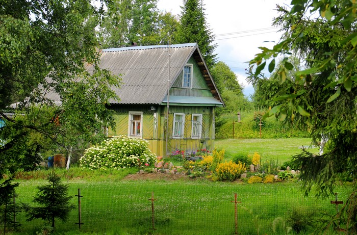Green wooden house in a Russian village with trees and flowers