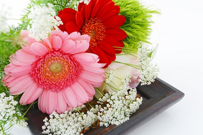 Pink and Red Gerbera Daisies in a Wooden Tray