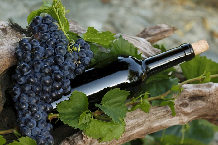 Bottle of Wine with Grapes and Driftwood